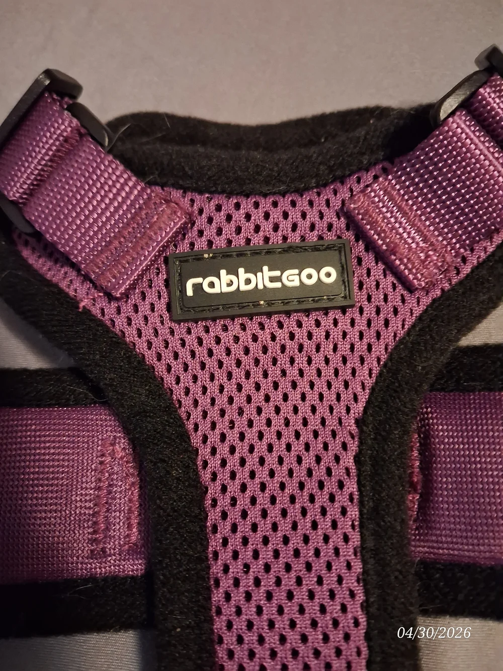 rabbitgoo Purple Padded Cat Harness - Adjustable Comfort Fit